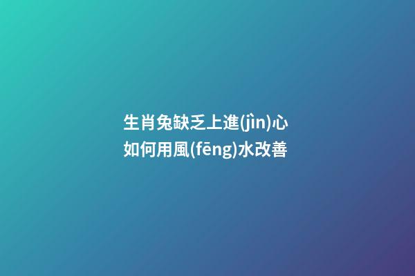 生肖兔缺乏上進(jìn)心 如何用風(fēng)水改善
